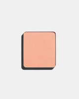 Lõi Phấn Mắt Freedom System Eye Shadow Double Sparkle 470