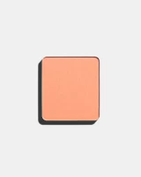 Lõi Phấn Mắt Dạng Lì Freedom System Eye Shadow Matte Nf 314 (2.7G)