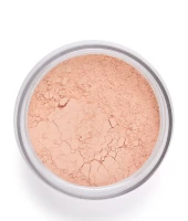 Phấn Phủ Vegan Mịn Nhẹ Kiềm Dầu Perfect Finish Loose Powder 02